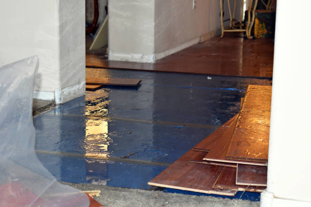 Professional Burst Pipe Cleanup technician working in Pinetops, NC